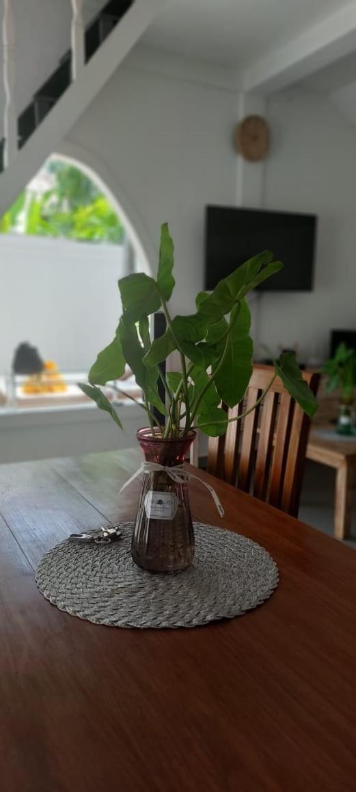 Villa Olivia Seminyak Dış mekan fotoğraf
